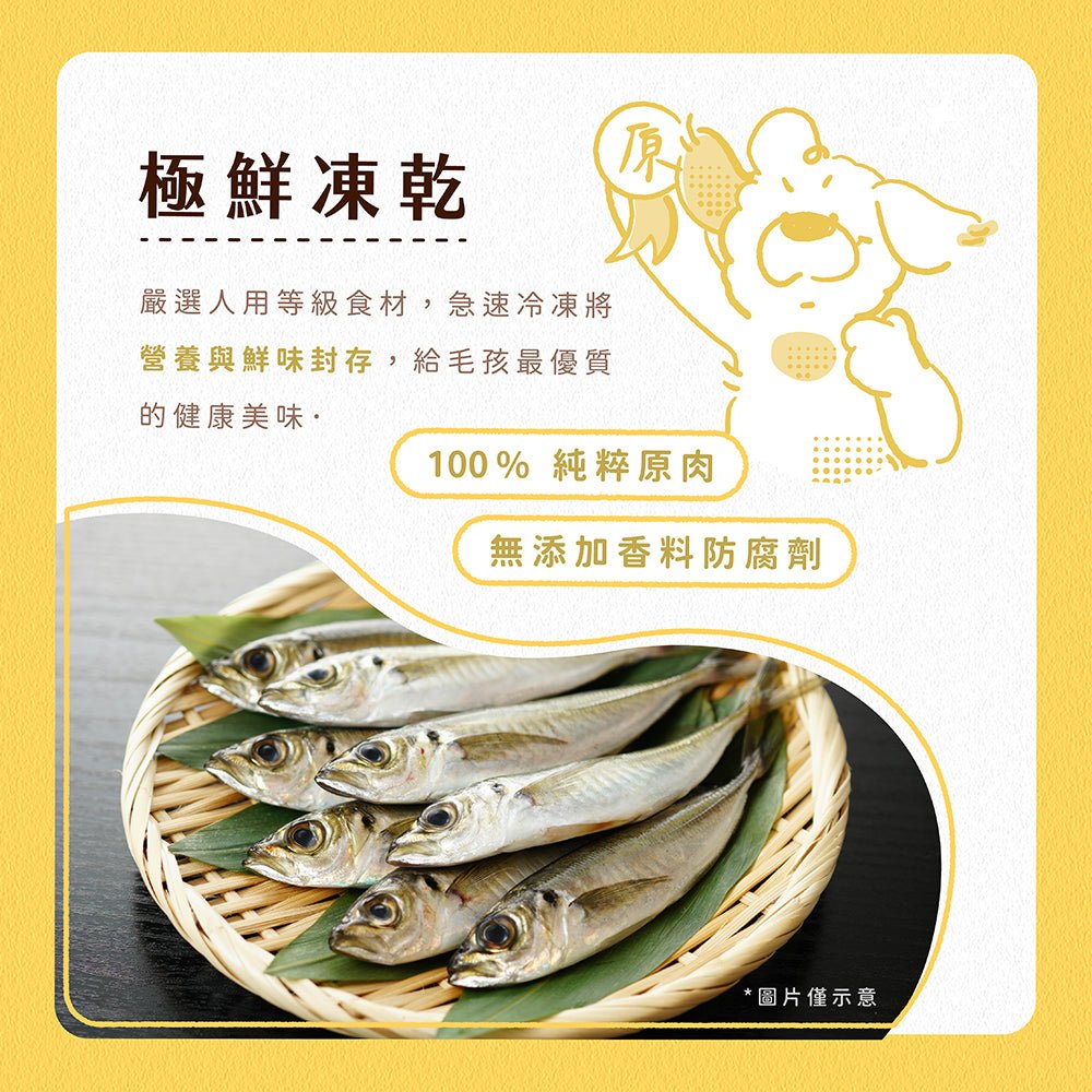 【限時】毛孩凍乾 6入超值嚐鮮組（隨機口味出貨） - 毛孩站起來