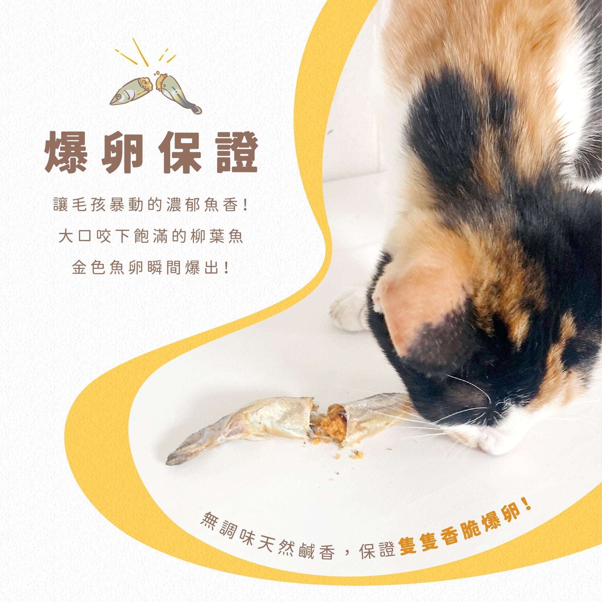毛孩凍乾 爆蛋柳葉魚 60g - 毛孩站起來