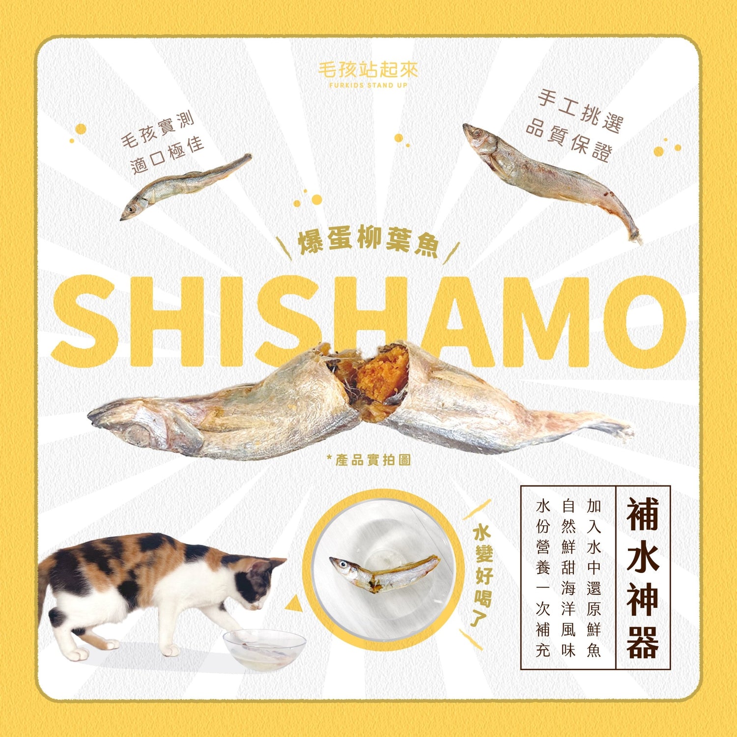 毛孩凍乾 爆蛋柳葉魚 60g - 毛孩站起來