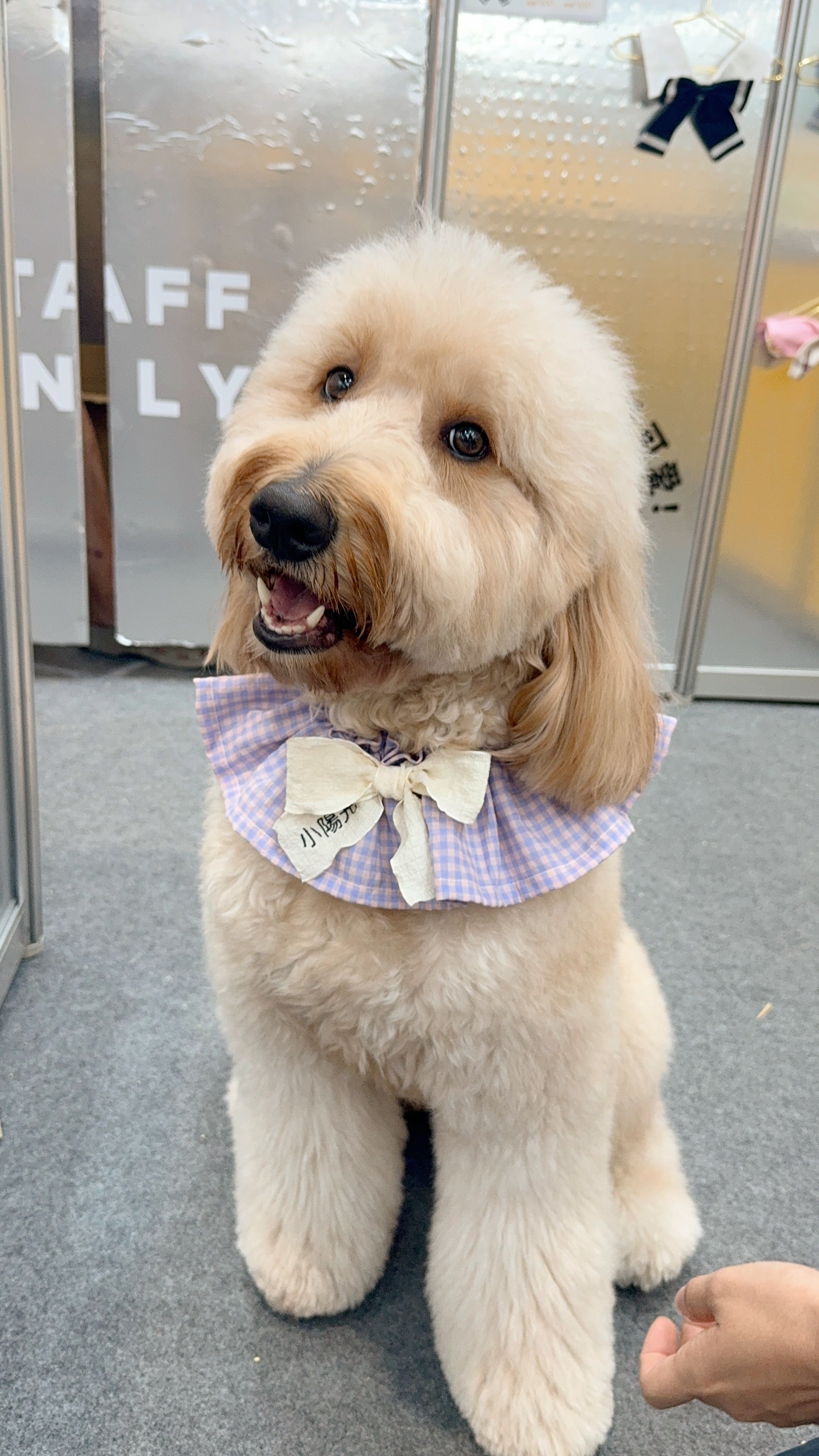 <p><strong>全新系列即將登場</strong></p><p><strong>Coming soon</strong></p>