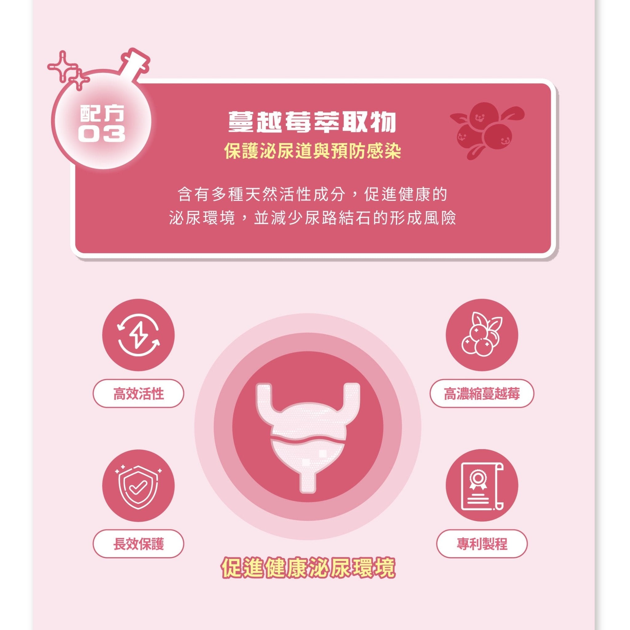 泌尿魔法師 順暢噓噓咒 - 毛孩站起來