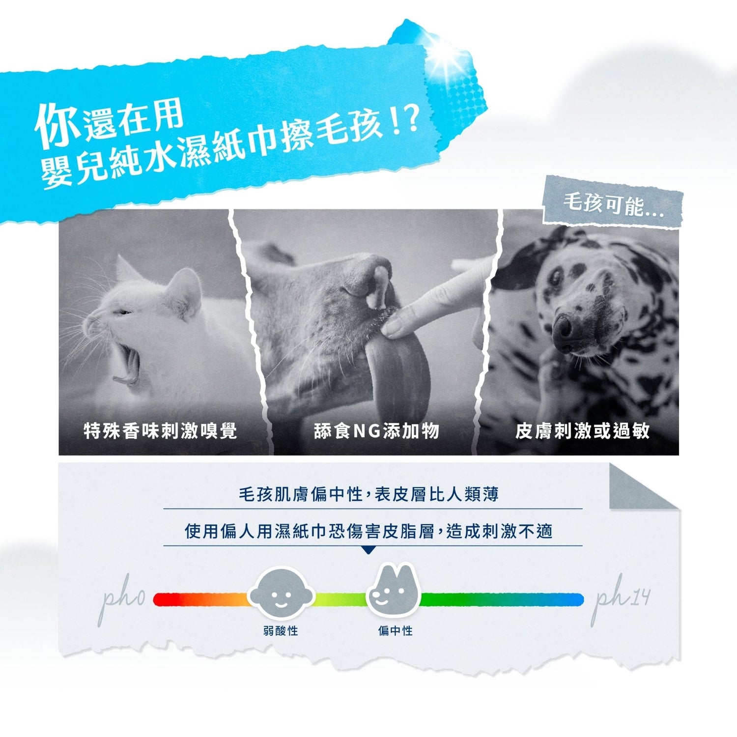 毛孩居家清潔組（居家清潔液+洗毛精+除臭噴霧+濕紙巾） - 毛孩站起來