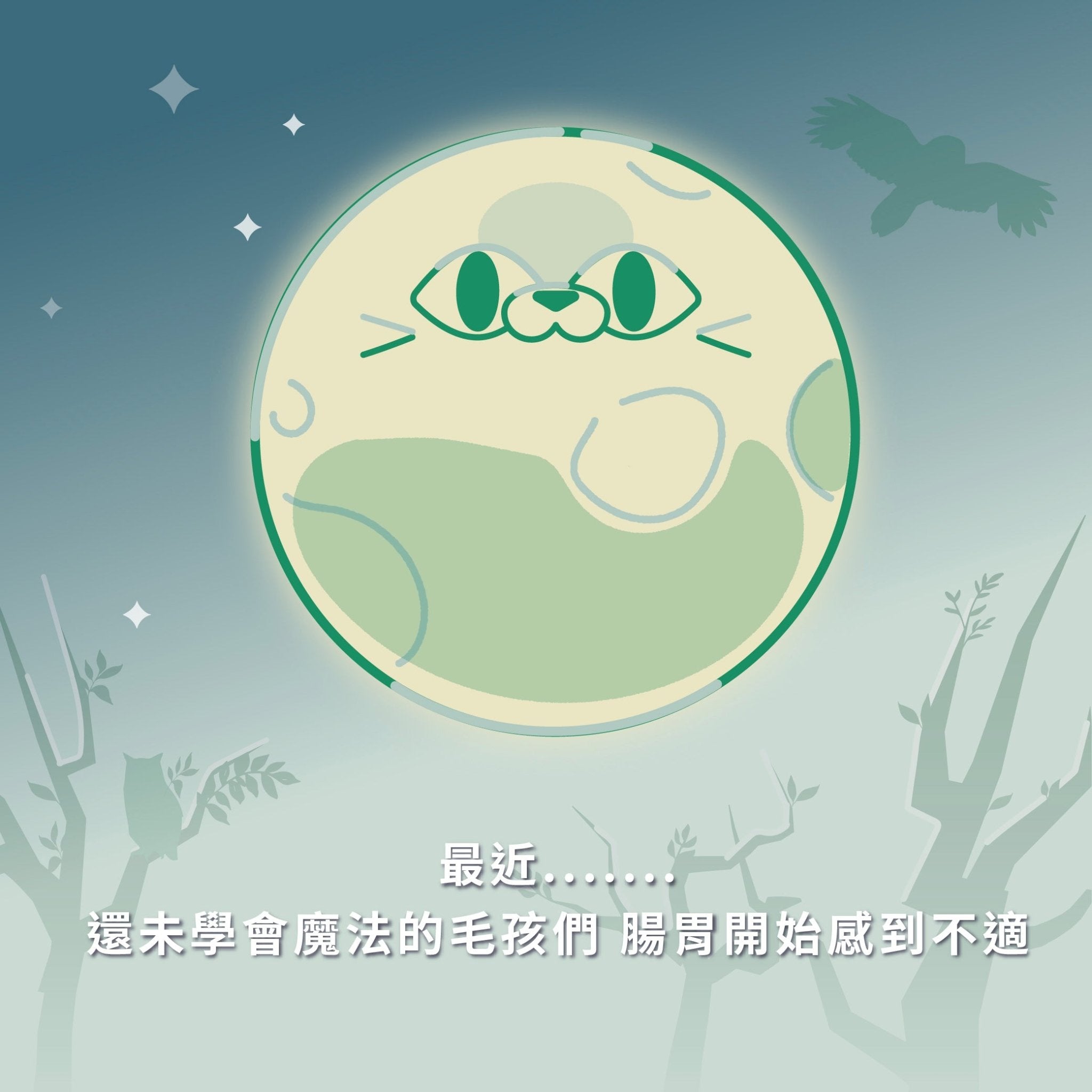 排毛魔法師 滾滾毛球咒 - 毛孩站起來