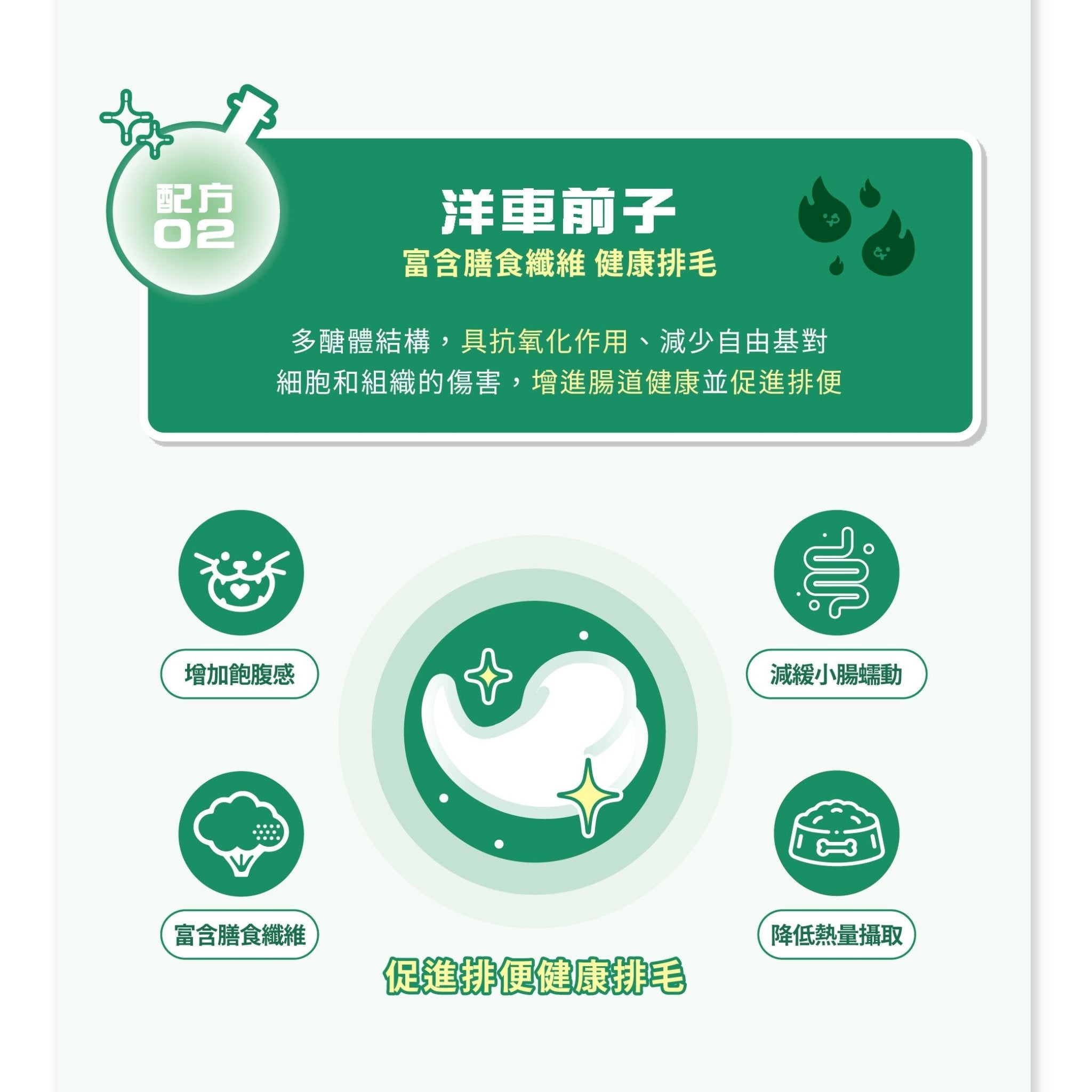 排毛魔法師 滾滾毛球咒 - 毛孩站起來