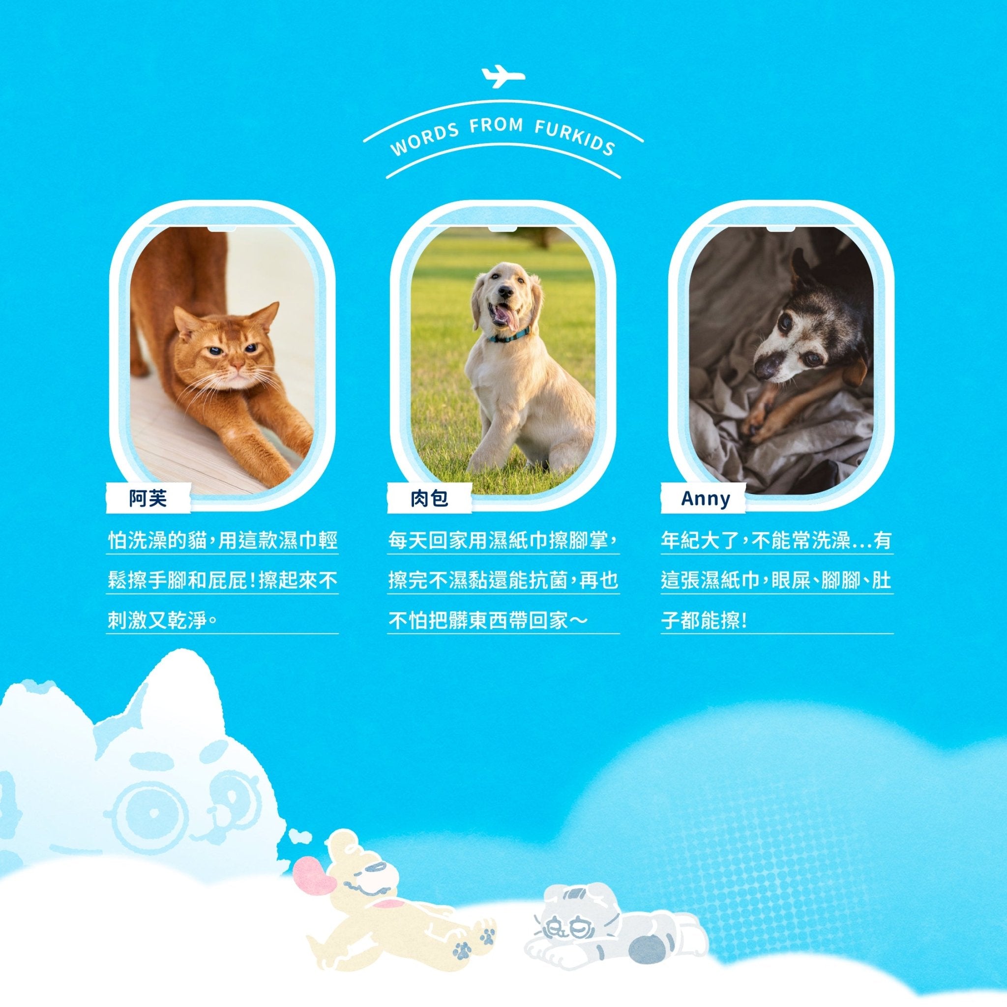 毛孩居家清潔組（居家清潔液+洗毛精+除臭噴霧+濕紙巾） - 毛孩站起來