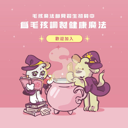 泌尿魔法師 順暢噓噓咒 - 毛孩站起來