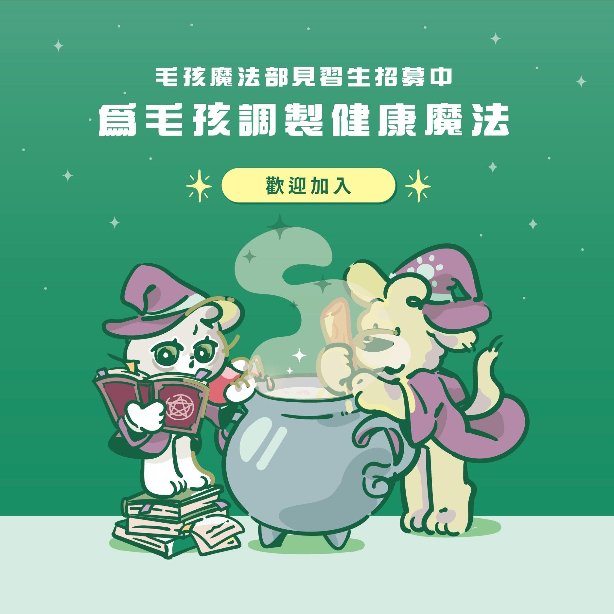 排毛魔法師 滾滾毛球咒 - 毛孩站起來