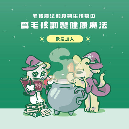 排毛魔法師 滾滾毛球咒 - 毛孩站起來